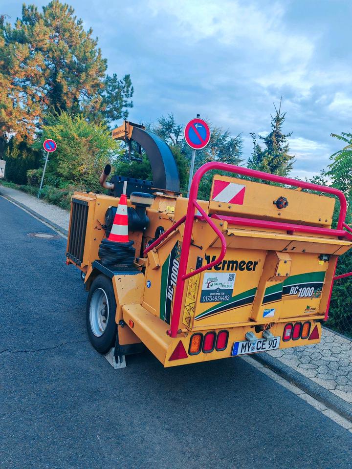 Häcksler zu vermieten / Hacker mieten Grünschnitt entsorgen in Mülheim-Kärlich