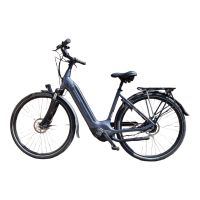 Mit dem Batavus Finez E-go Power LTD erlebst du endlose Fahrfreude! Altona - Hamburg Blankenese Vorschau