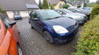 Ford Fiesta 1,3 L, 4 Zylinder Duratec, JD3 Rheinland-Pfalz - Hachenburg Vorschau