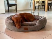 Petlando Orthopädisches Hundebett Nizza Luxusbett S - M - L Bayern - Kleinaitingen Vorschau