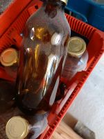Glasflaschen für Saft Mosterei Niedersachsen - Bad Harzburg Vorschau