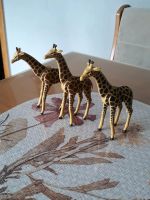 Playmobil Giraffen Niedersachsen - Haselünne Vorschau