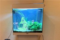 Aquarium inkl Filter LED Beleuchtung und heissstab Rheinland-Pfalz - Niederwerth Vorschau