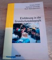 Einführung in die Grundschulpädagogik Altona - Hamburg Blankenese Vorschau