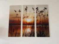 Schöne Glasbilder mit Sonnenuntergang Thüringen - Ilmenau Vorschau