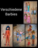 Verschiedene Barbies Baden-Württemberg - Schömberg Vorschau