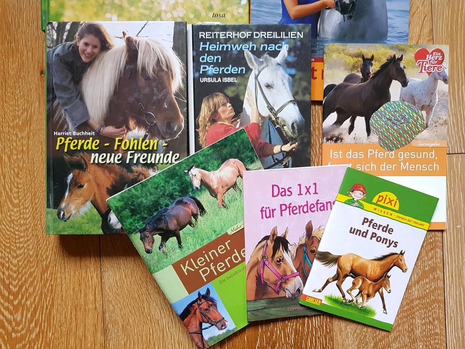 Pferde Bücher, kompl. Preis, Fachliteratur,  Roman, Geschichten in Dresden
