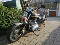 Harley Davidson Sportster XL 1200 C Baden-Württemberg - Kämpfelbach Vorschau