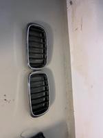 Bmw x5 x6 f25 f16 Grill 7316076 links und rechts Rheinland-Pfalz - Dannstadt-Schauernheim Vorschau