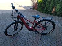 Damen E- Bike,  28 Zoll, Gr.M Baden-Württemberg - Sinzheim Vorschau