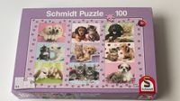 Schmidt Puzzle 100 Teile  Hund Katze NEU Nordrhein-Westfalen - Königswinter Vorschau