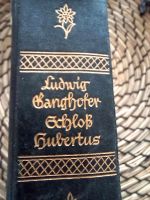 Antikes Buch Schloß Hubertus  1917 Hessen - Rüdesheim am Rhein Vorschau