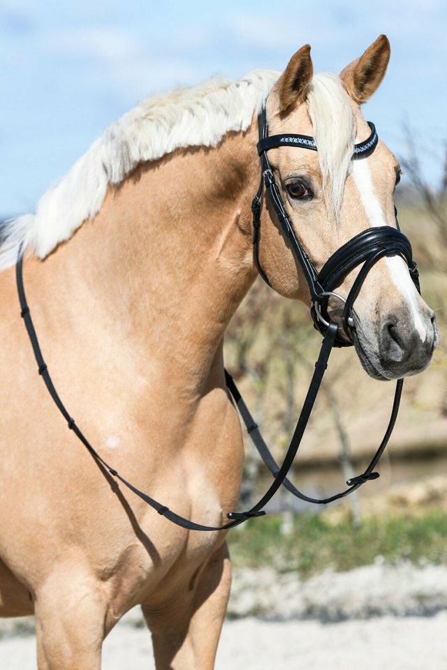 GLITZER TRENSEN shetty, pony, vb/cob, wb/full, kb/extra full €58,95 NEU in Rehburg-Loccum