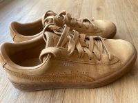 Turnschuhe Sneaker Puma Gr. 36 Mecklenburg-Vorpommern - Stralsund Vorschau