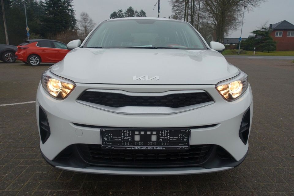 Kia Stonic 1.2 DPI Stonic Edition 7 *Emotion-Paket* in Saterland