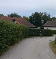 Gartenarbeiten Bayern - Bad Griesbach im Rottal Vorschau