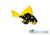 Green Pleco Plüsch Sunshine Wels / Plüsch Goldsaum Wels 15,49€ * Nordrhein-Westfalen - Lemgo Vorschau