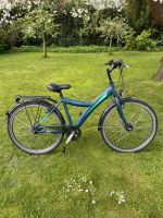 Bocas Sioux Y  44 cm , Fahrrad,  dunkelblau matt Niedersachsen - Einbeck Vorschau