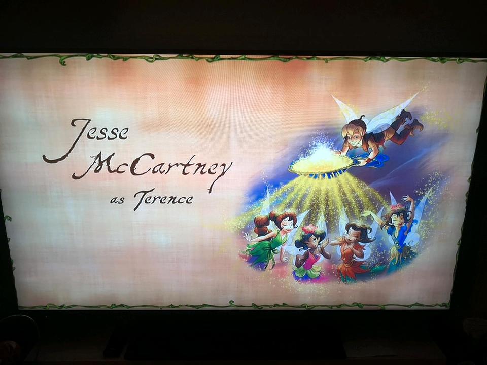 DVD Kinder Tinkerbell Besuche die Welt der Feen WaltDisney in Crimmitschau