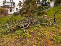 Holzstämme und Äste Baden-Württemberg - Konstanz Vorschau