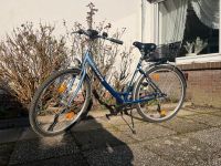 Fahrrad Cityrad Cityfahrrad CALVIN 28 Zoll Niedersachsen - Bruchhausen-Vilsen Vorschau