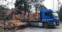 Brennholz Stammholz Kiefer Brandenburg - Kloster Lehnin Vorschau