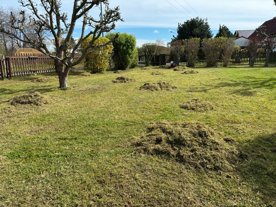 ❌ Hausmeister Hausmeisterservice Gartenbau ❌ in Borna