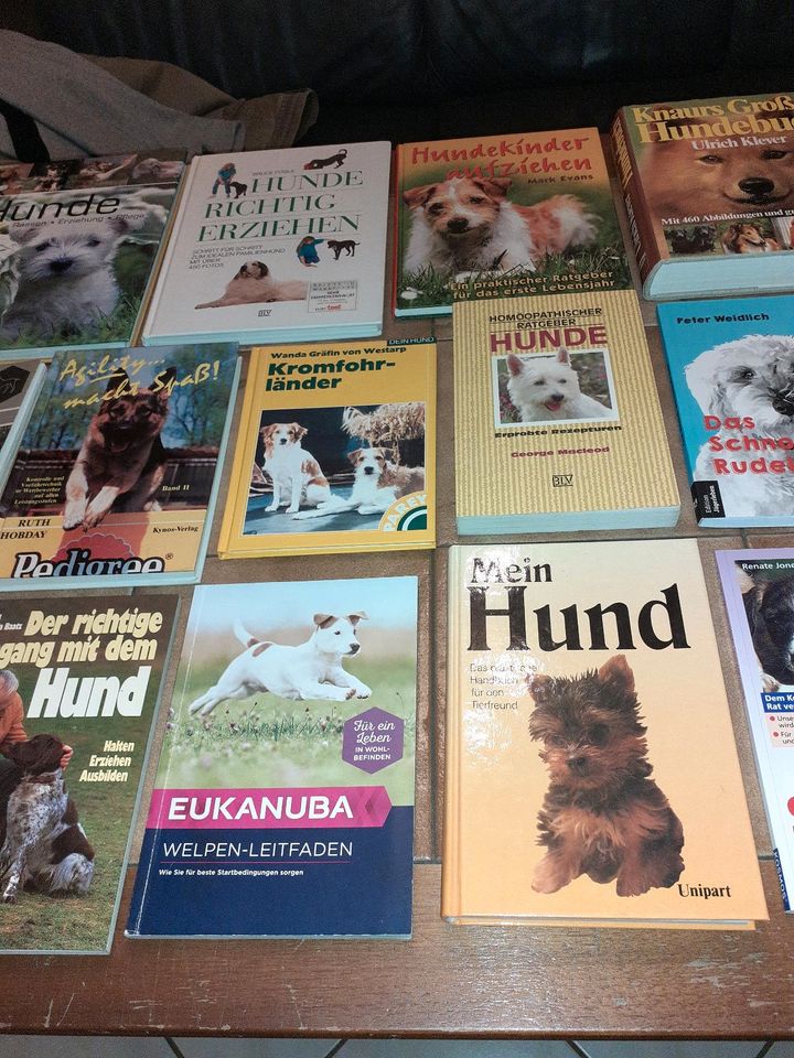 Hunde Bücher in Biebertal