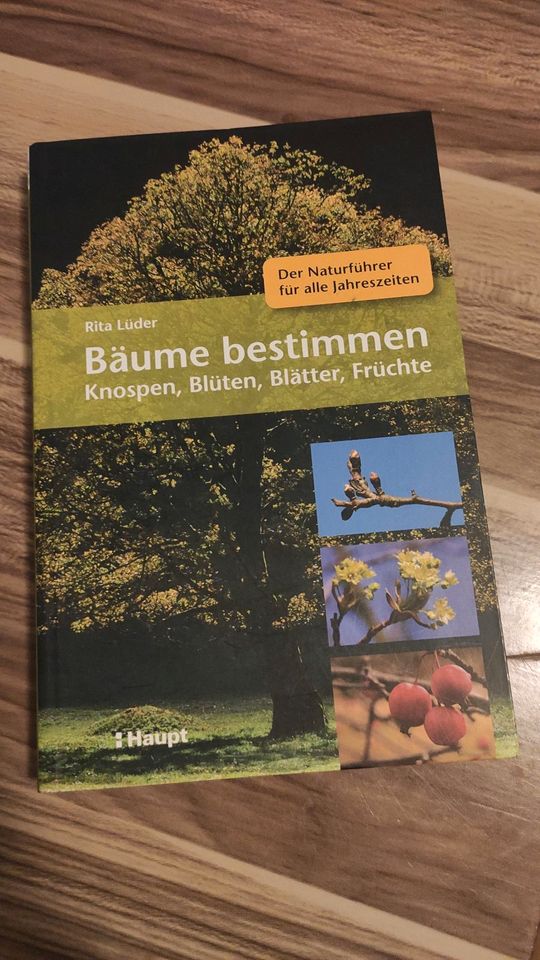 Pflanzen Buch: Bäume bestimmen: Knospen, Blüten, Blätter, Früchte in Hamburg