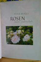 Rosen - meine Leidenschaft Speyer - Dudenhofen Vorschau
