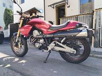 Derbi Mulhacien Scrambler mit Sonderlackierung Münster (Westfalen) - Sentrup Vorschau