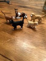 Schleich Tiere 2 Katzen, Labrador, Welpe Labrador, Fohlen Düsseldorf - Angermund Vorschau