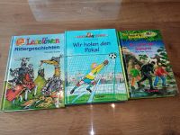 Bücherset für Jungen 8 Jahre Niedersachsen - Neuenkirchen - Merzen Vorschau