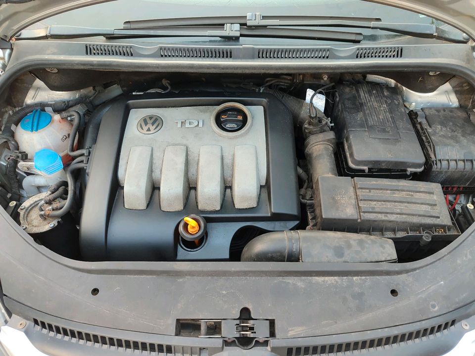 VW Golf 5 plus 1,9 TDI Schlachtfest in Ennigerloh