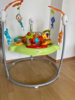 Hopser Fisher Price Nordrhein-Westfalen - Bad Salzuflen Vorschau