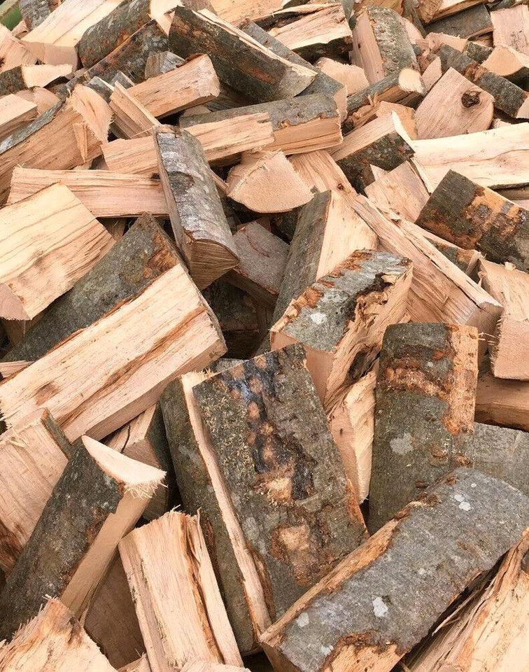 Brennholz Kaminholz Buche trocken und ofenfertig in Aichwald