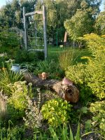 Natur und Deko im Garten, Holz, Terrakotta Mecklenburg-Vorpommern - Walow Vorschau