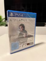 A Plague Tale Innocence - PlayStation 4 Ps4 - neu Bayern - Altenstadt Iller Vorschau