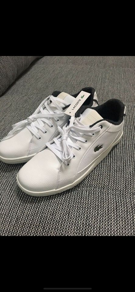 Lacoste Schuhe Gr. 44.5 *NEU* in Wendehausen