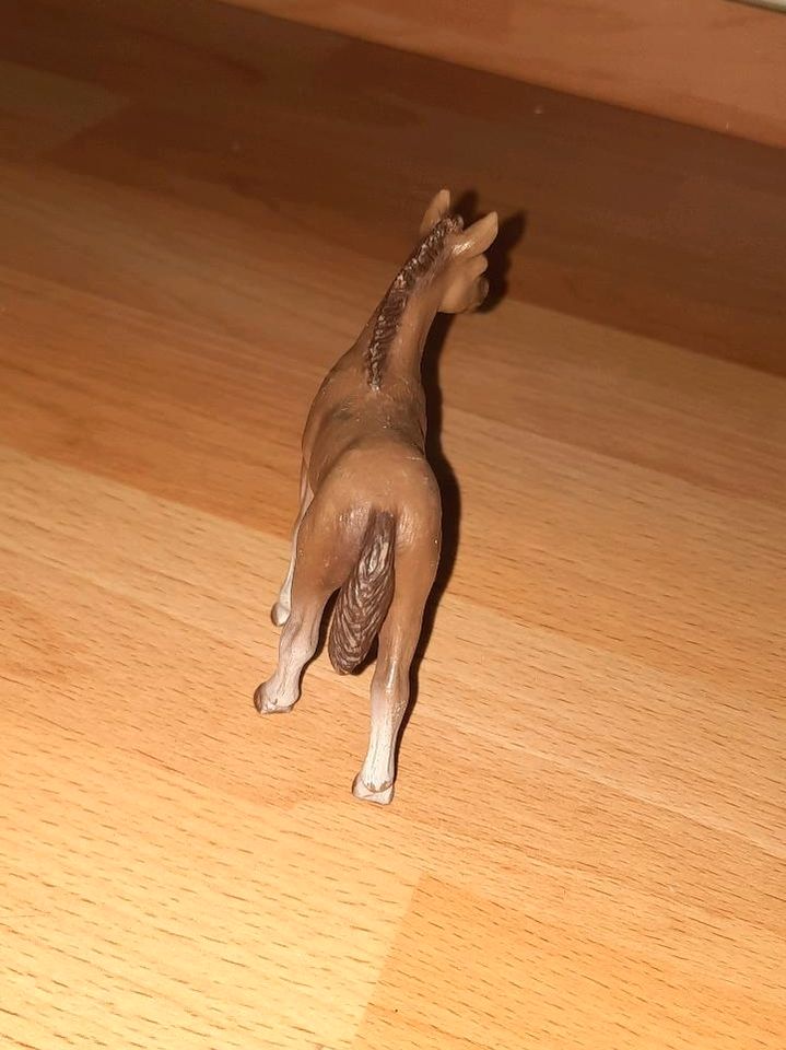 Schleich Figur Pferd in Flensburg