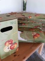 Saftkarton  Apfelsaft Karton 13 Stück Bayern - Frauenneuharting Vorschau