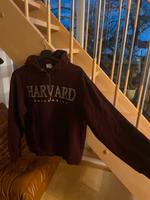 Harvard University Hoodie Pullover von H&M dunkelrot XS Hessen - Ahnatal Vorschau