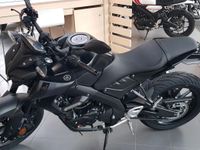 Yamaha MT 125 model 2023 Sport   neu Nordrhein-Westfalen - Herten Vorschau