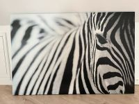 Bild Zebra auf Leinwand Nordrhein-Westfalen - Wiehl Vorschau