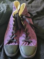 Converse All Stars, Größe 41, neuwertig Bielefeld - Dornberg Vorschau