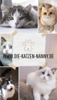 Mobile Tierbetreuung für Katzen & Kleintiere Wiesbaden - Erbenheim Vorschau