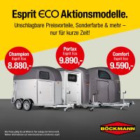 Unsere neuen Preisknaller! Die Böckmann Eco Modelle! Pferdeanhänger zum besten Preis-Leistungsverhältnis! Kreis Ostholstein - Stockelsdorf Vorschau