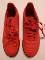 Adidas predator Fußballschuhe mit Noppen Gr. 36 Niedersachsen - Dannenberg (Elbe) Vorschau