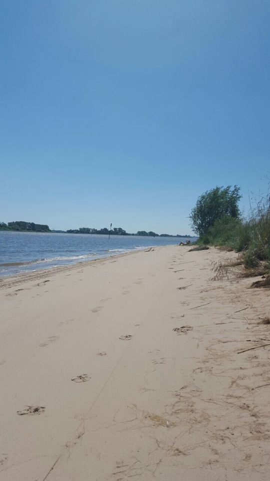 Ferienwohnungen direkt an der Weser in Oberhammelwarden in Elsfleth