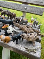 Schleich von gross bis klein Kr. München - Neuried Kr München Vorschau